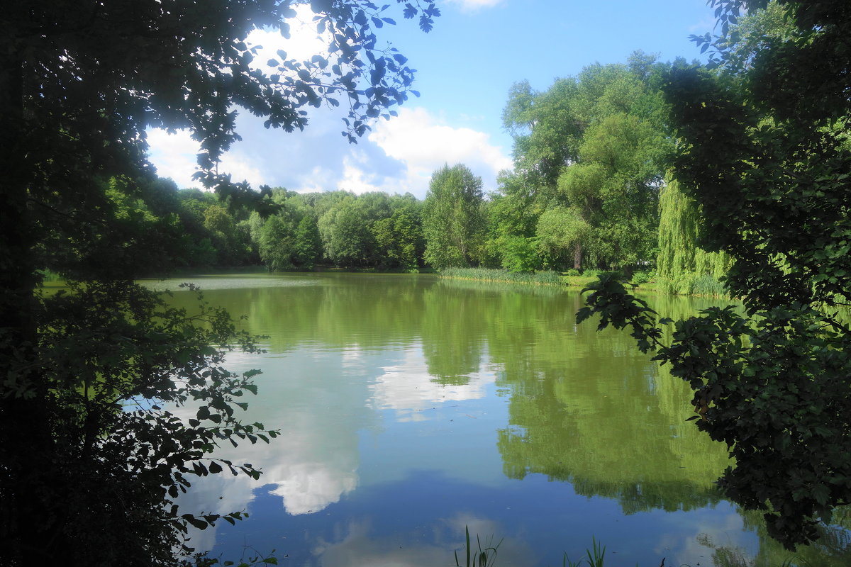 В Южном парке - Маргарита Батырева