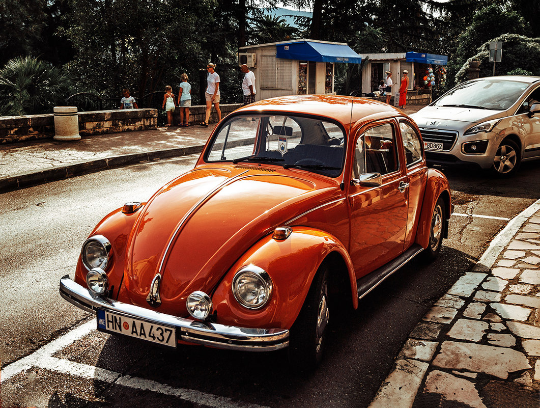 Volkswagen Beetle - Александр Неверов
