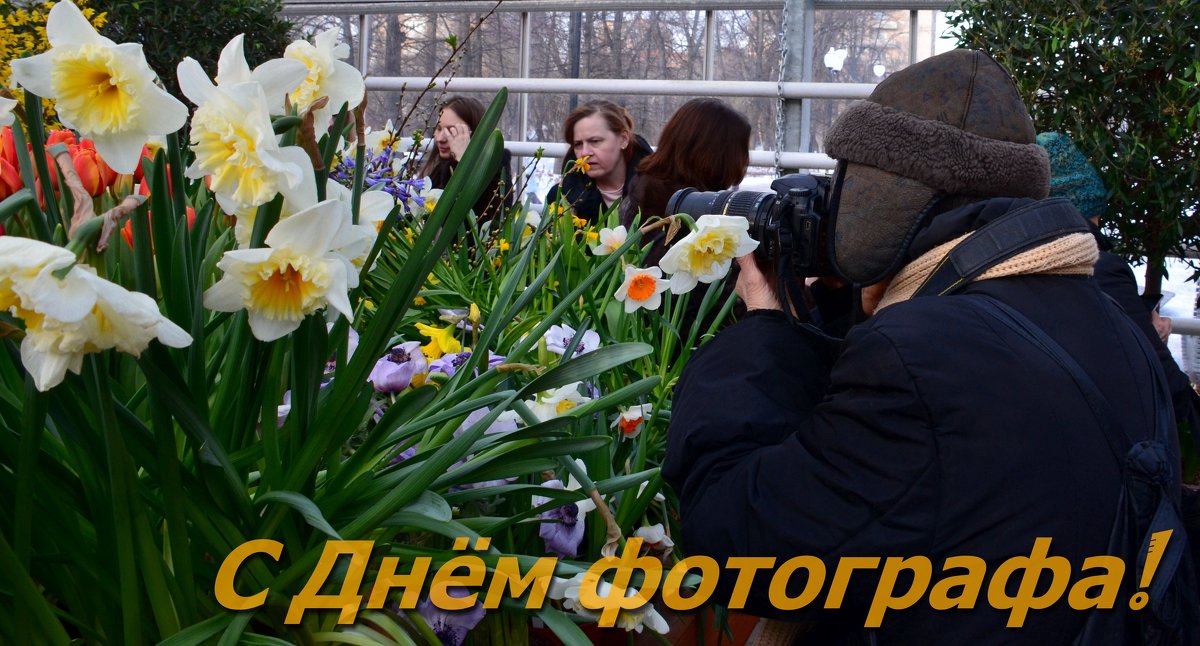 Поздравляю вас с Днём фотографа, друзья! - Ольга Русанова (olg-rusanowa2010)