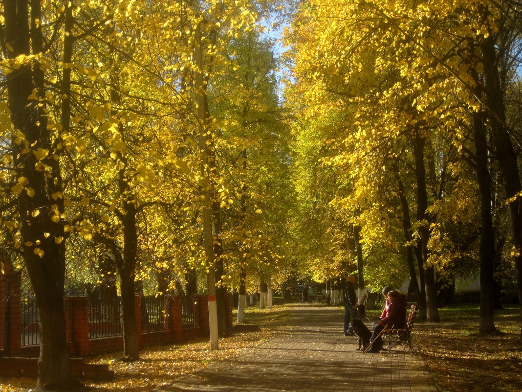 В золотую осень - Елена Семигина