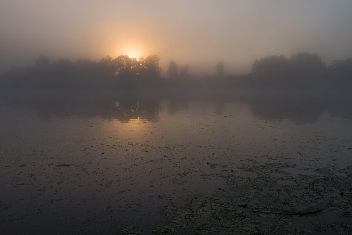 Июльское утро на реке Дубне. - Виктор Евстратов