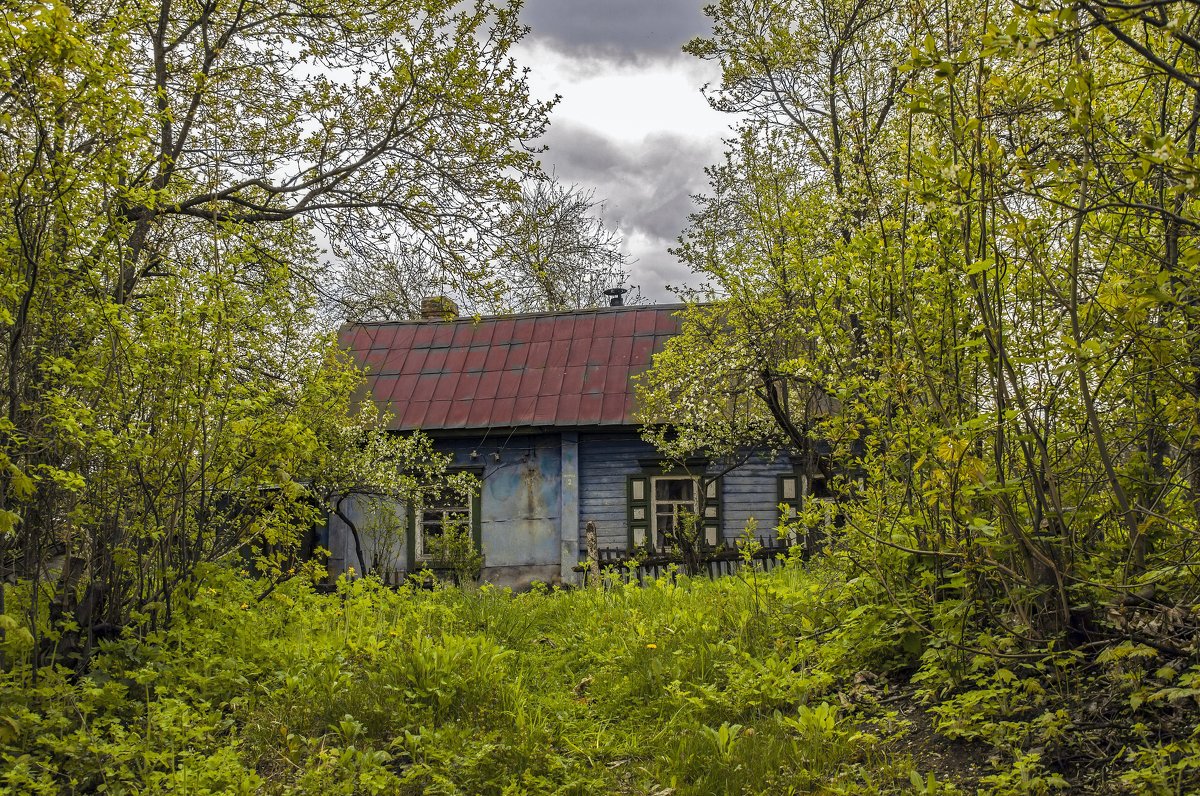 старый домик - оксана 