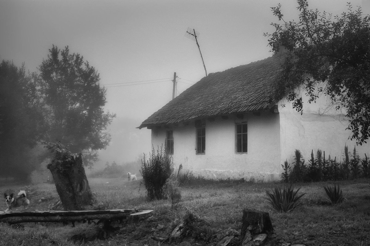 На деревне утро - Александр 