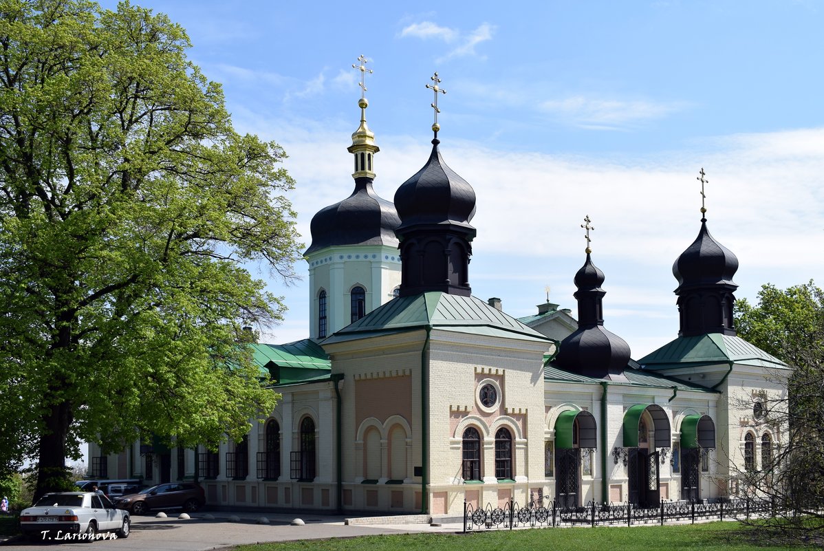 Свято-Троицкий Ионинский мужской монастырь - Татьяна Ларионова