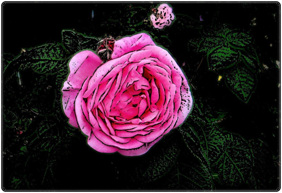 О розовой розе - Нина Корешкова