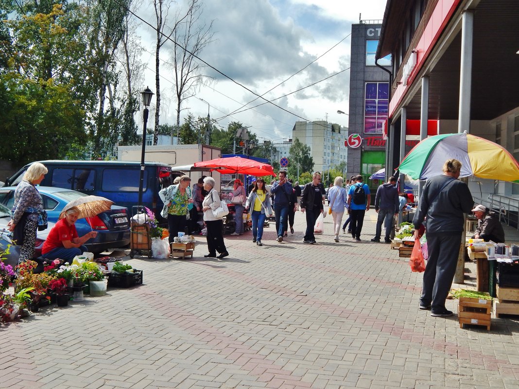 Провода ... - Валентина Пирогова