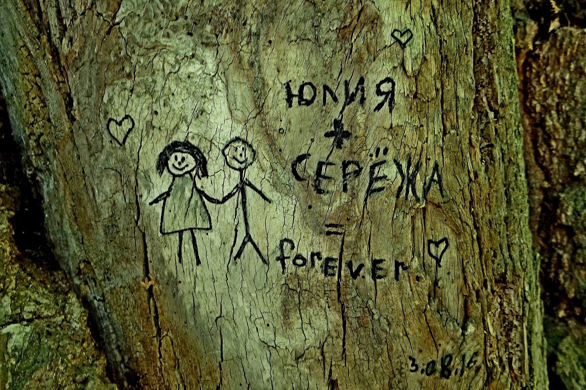 Дерево любви - Юрий Владимирович 34
