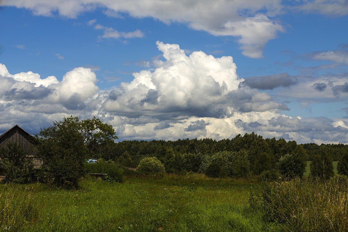 *** - Александр 