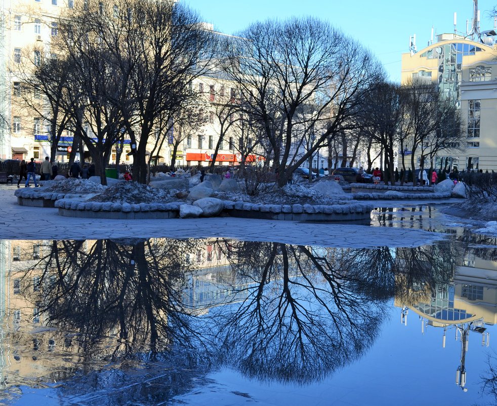 Лужи. Кривые зеркала городов - Милана Гиличенски 