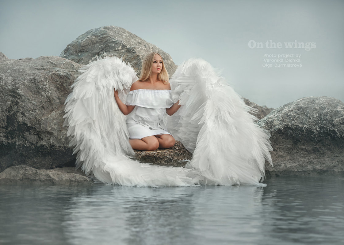 Wings - Olga Burmistrova