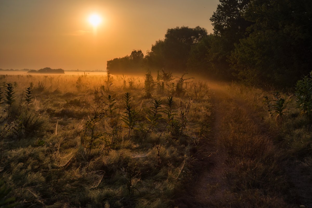 ... - Слава Украине