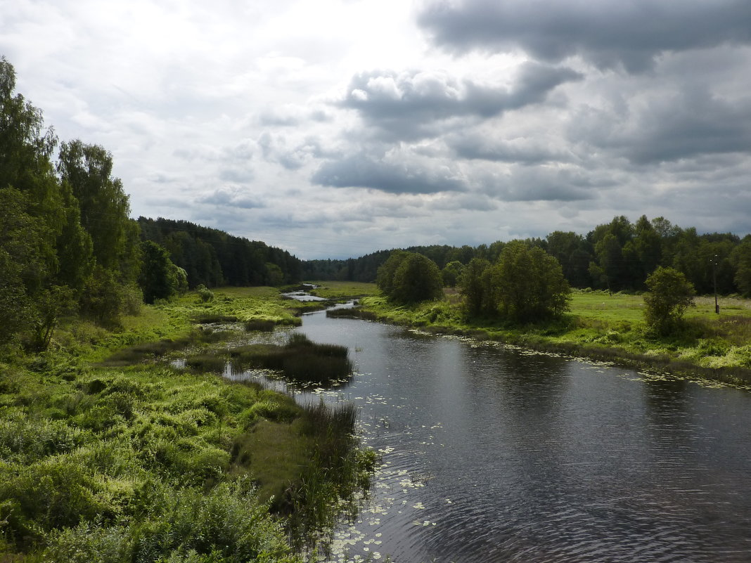 Фото река Гудкова