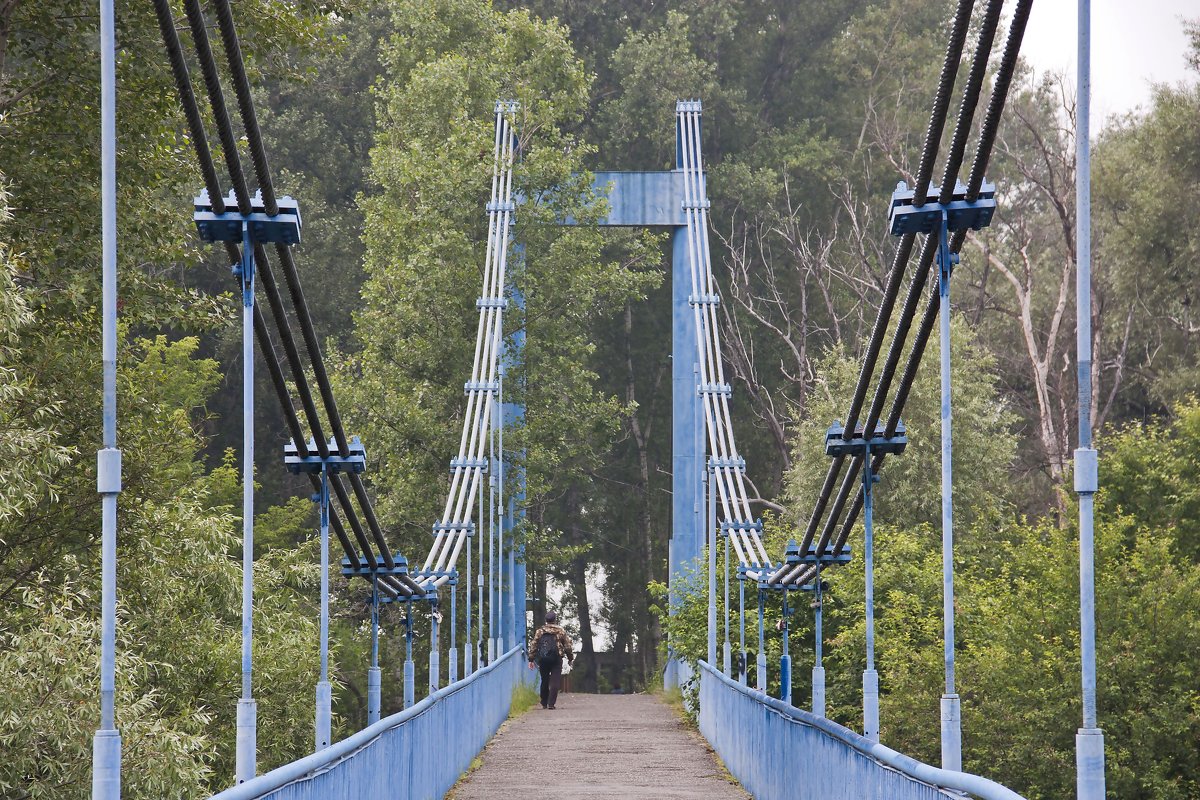 Шушенское   старый  мост - Виктор 