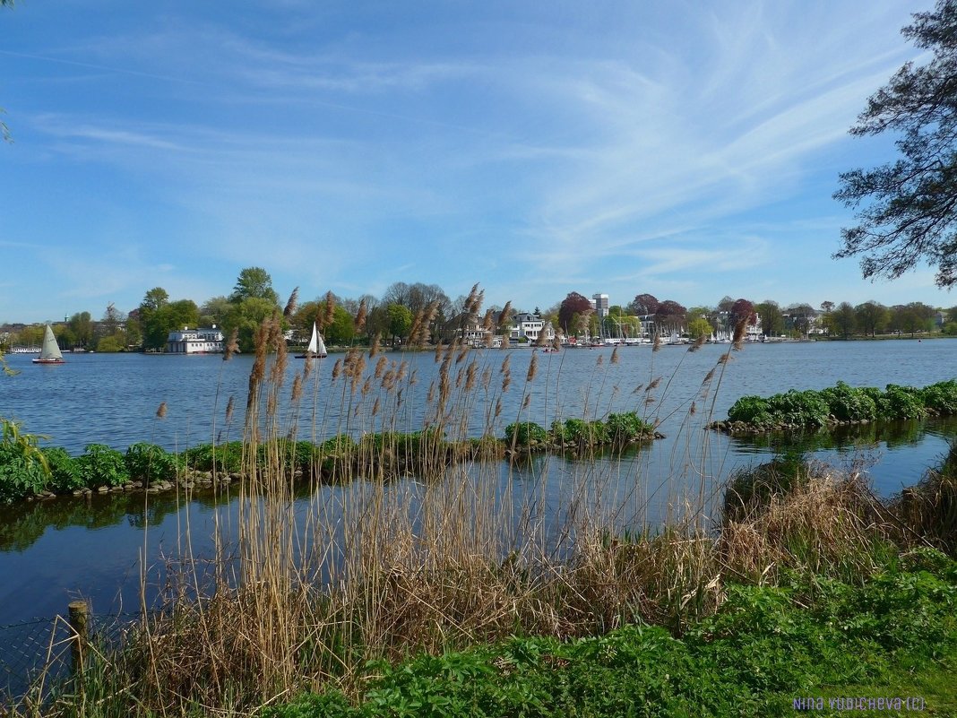 Alster Hamburg - Nina Yudicheva