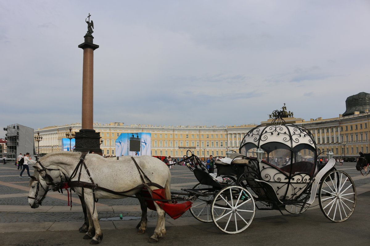 В ожидании принцесс - Ольга 