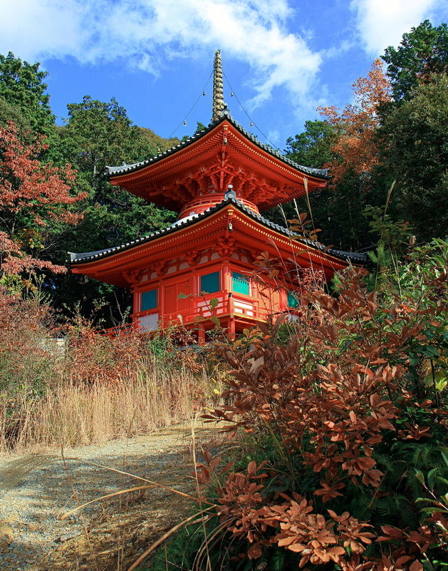 Пагода в окрестностях Киото - Евгений Печенин