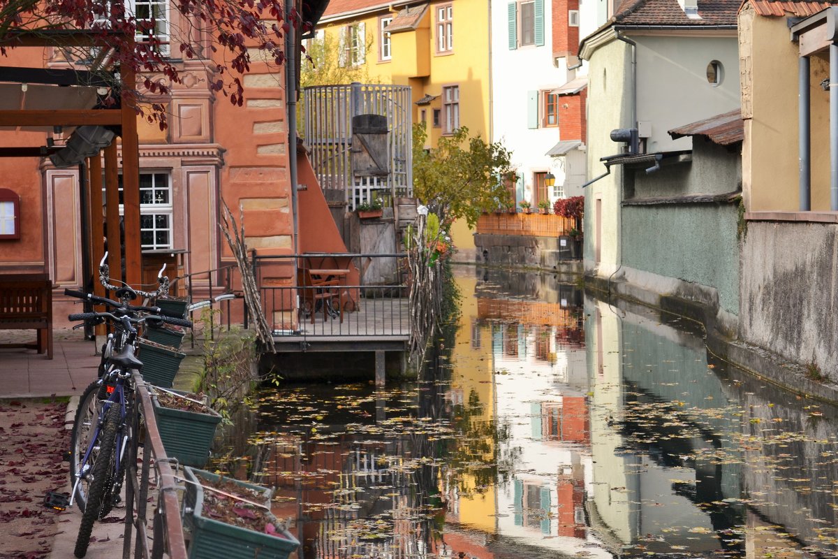 Осень в Эльзасе - Милана Гиличенски 