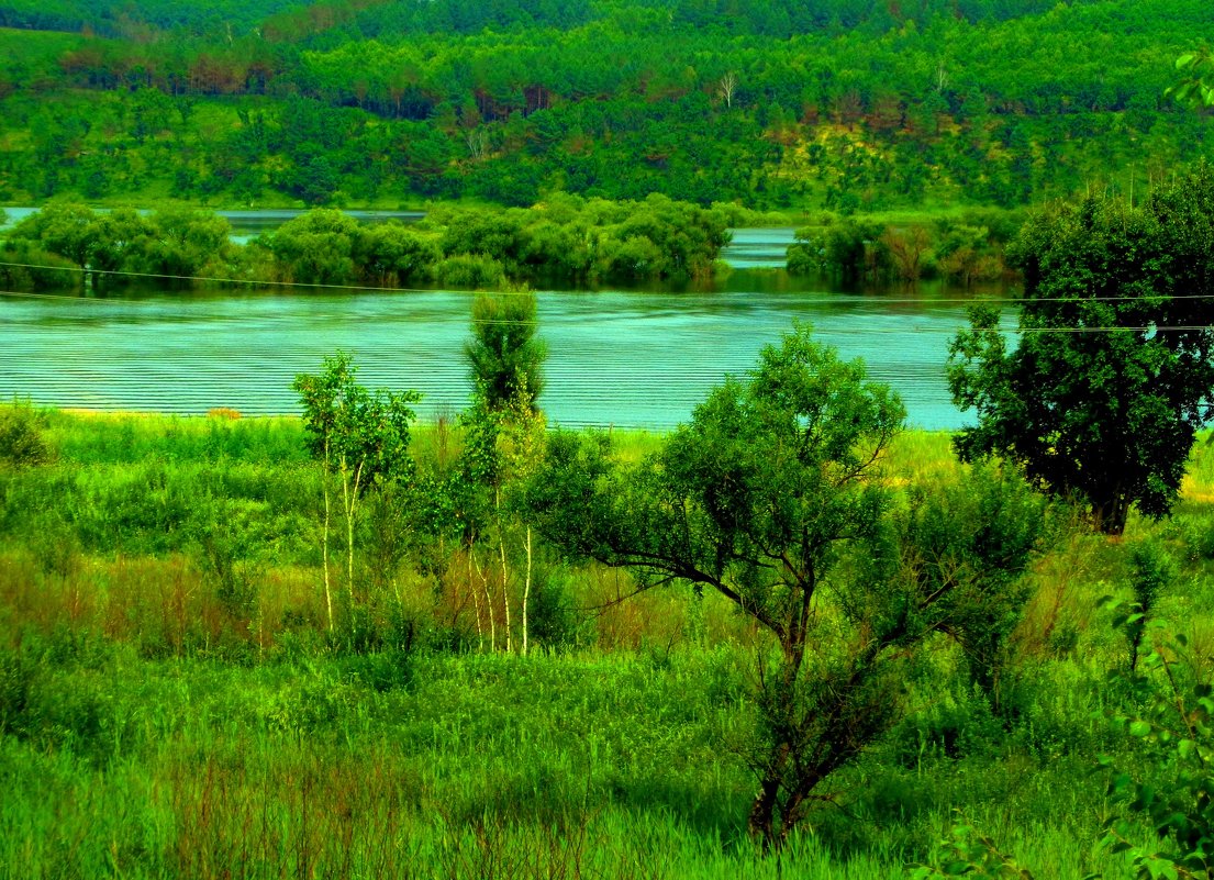 Паводок на речке Пёре - Милла Корн 