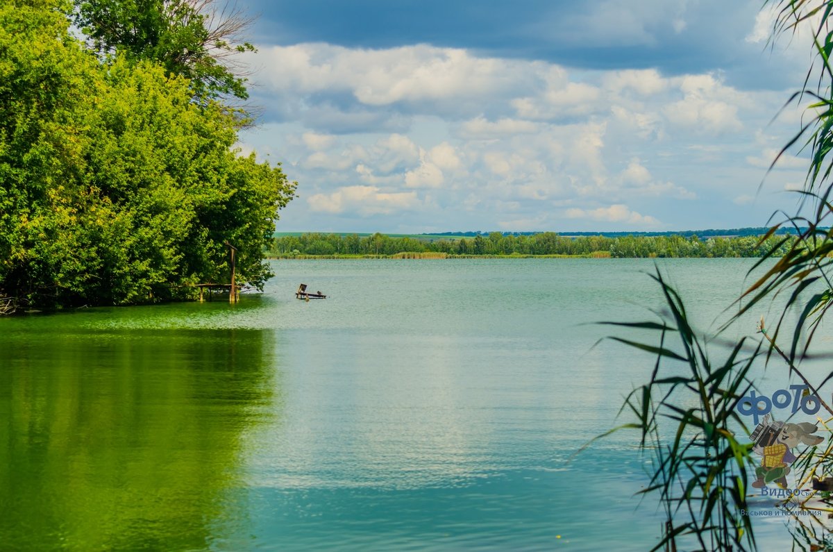 море в курске