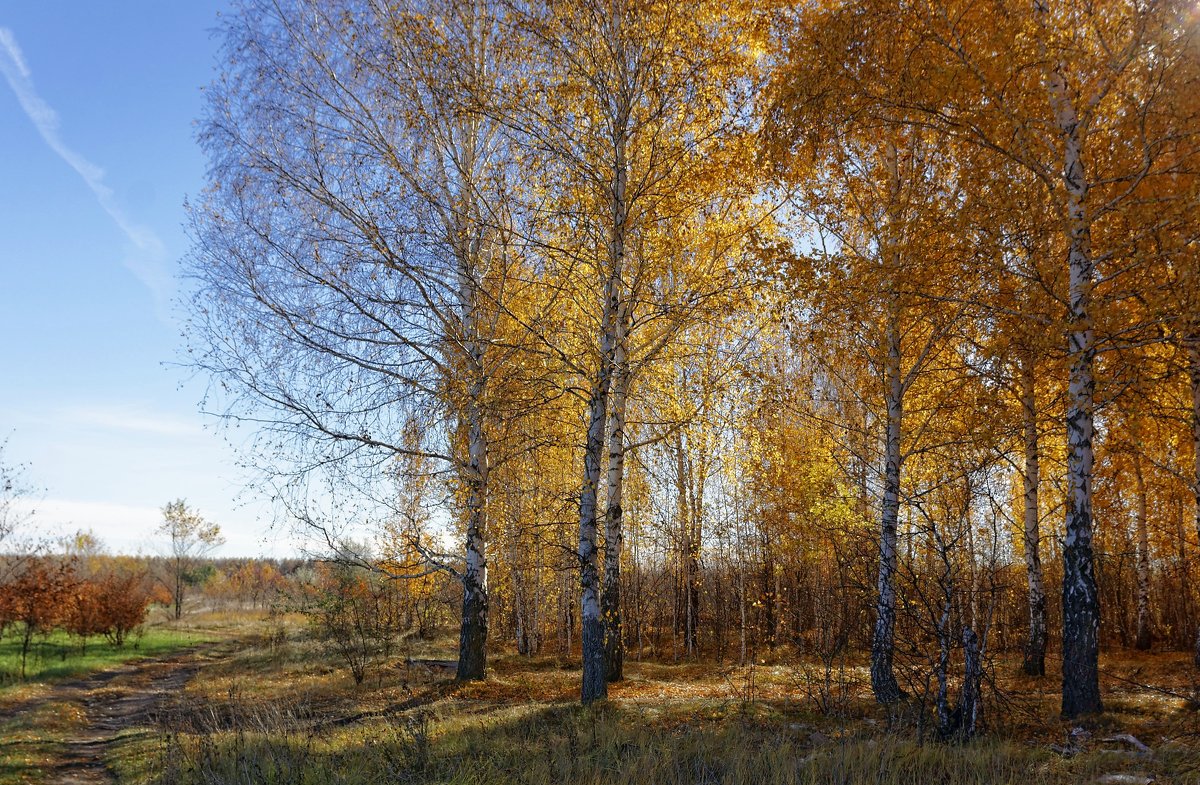 осень - герасим свистоплясов