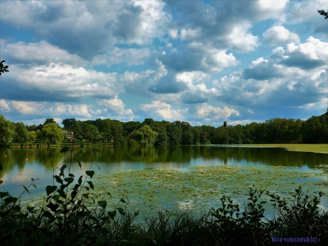 Летом на озере - Nina Yudicheva