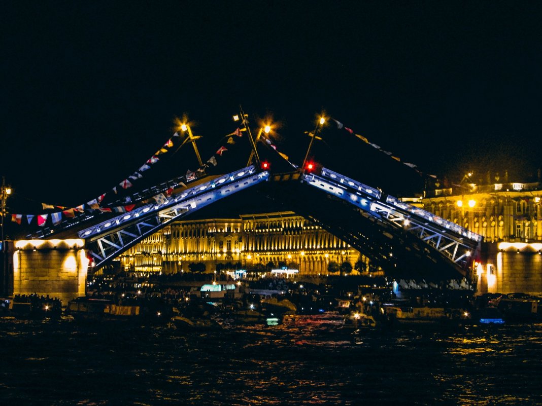Дворцовый мост - Tanya N