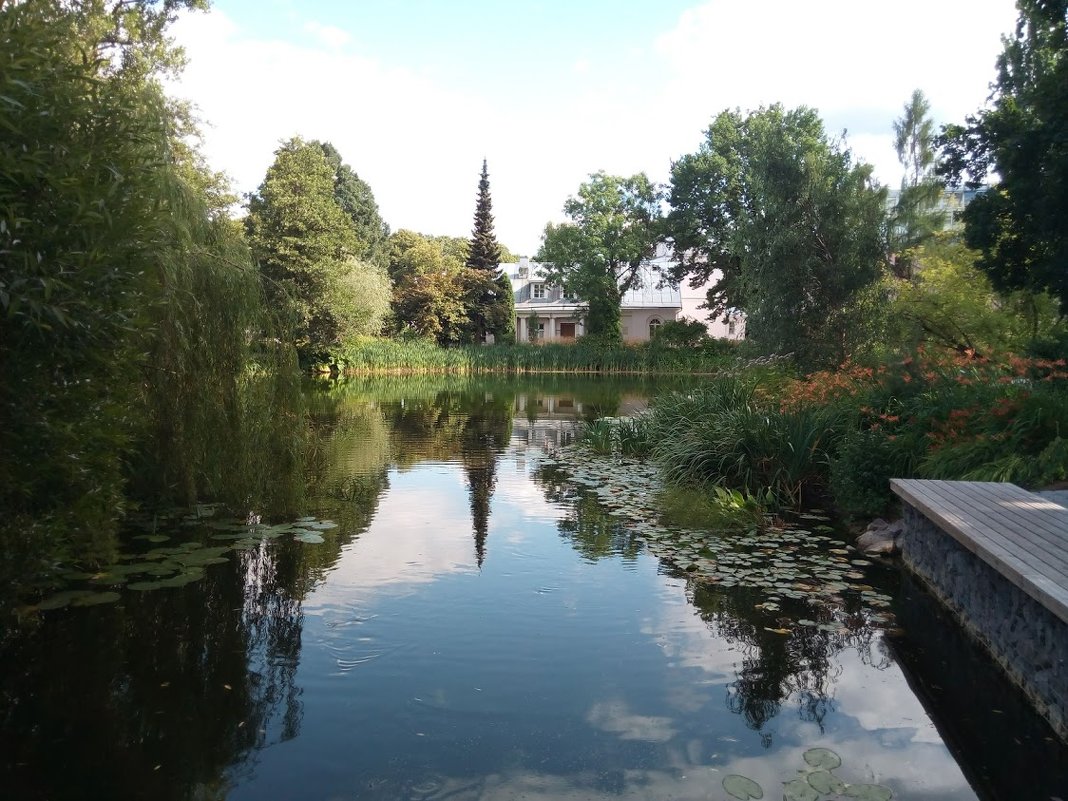 Тарту. Ботанический сад Тартуского университета - Julia Nikolina