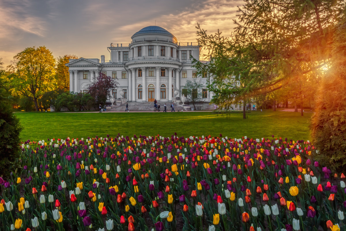 цпкио санкт петербург