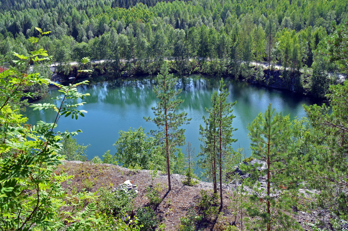 Лето в Карелии - Нина Синица