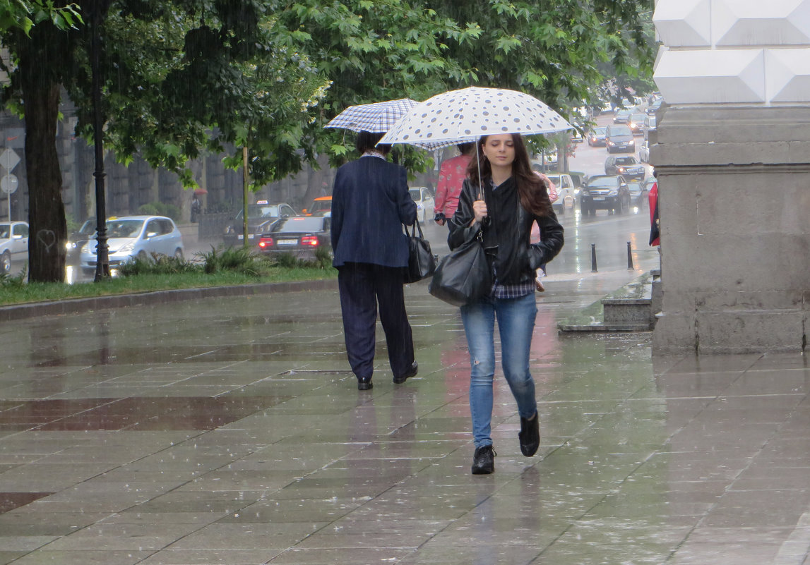 Шел дождь - Наталья (D.Nat@lia)