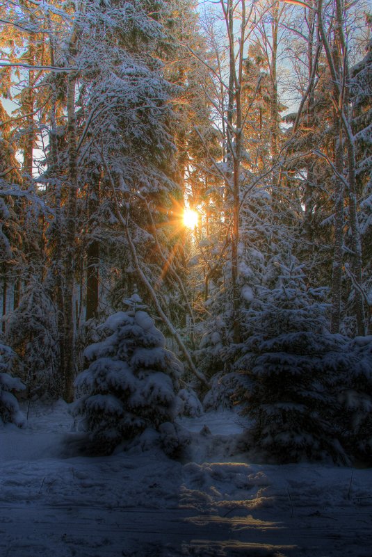 Отблеск на снегу - Cергей Кочнев