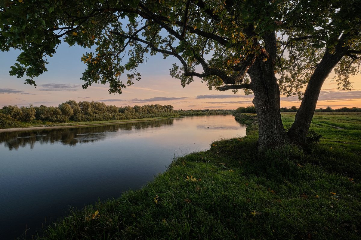 Природа у реки Клязьма