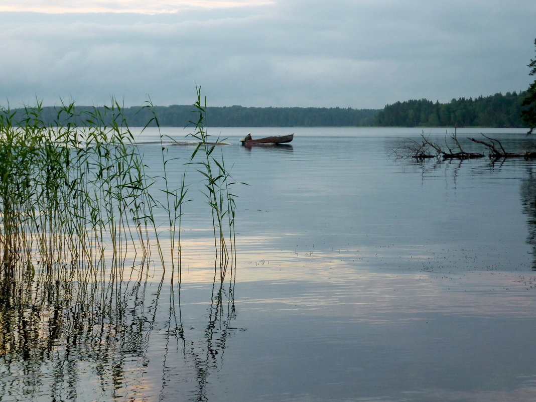 Белая ночь на Ковжском озере - Валерий Талашов