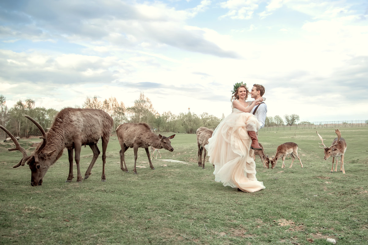 Свадьба с жикими животными - Наталья Сидорова
