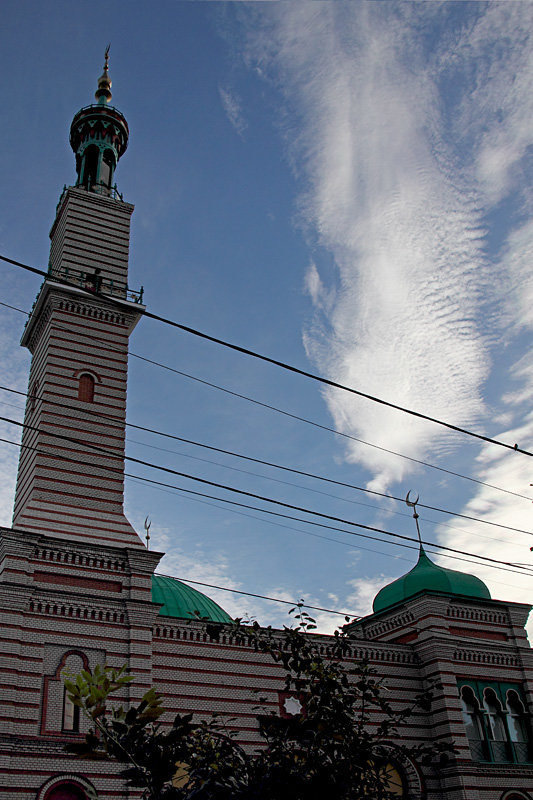 Соборная мечеть. Саратов - MILAV V