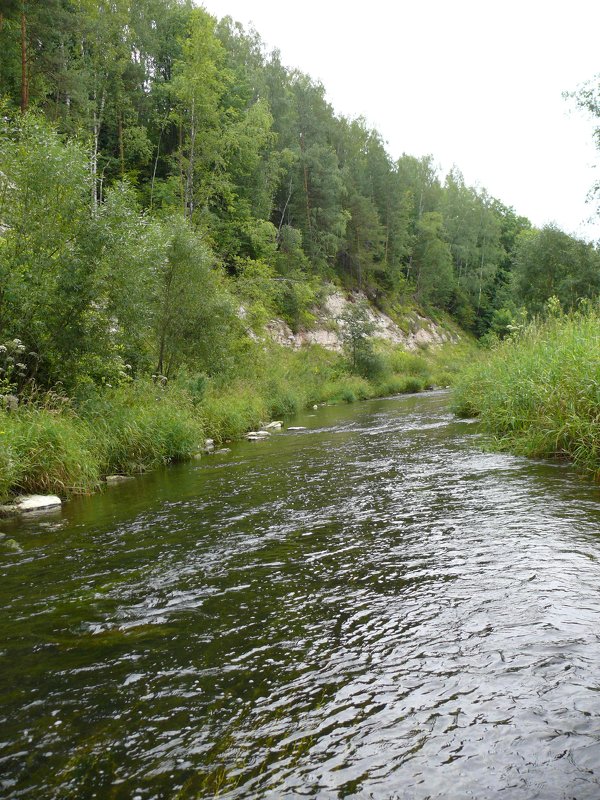 Река Холохольня - Елена Елена
