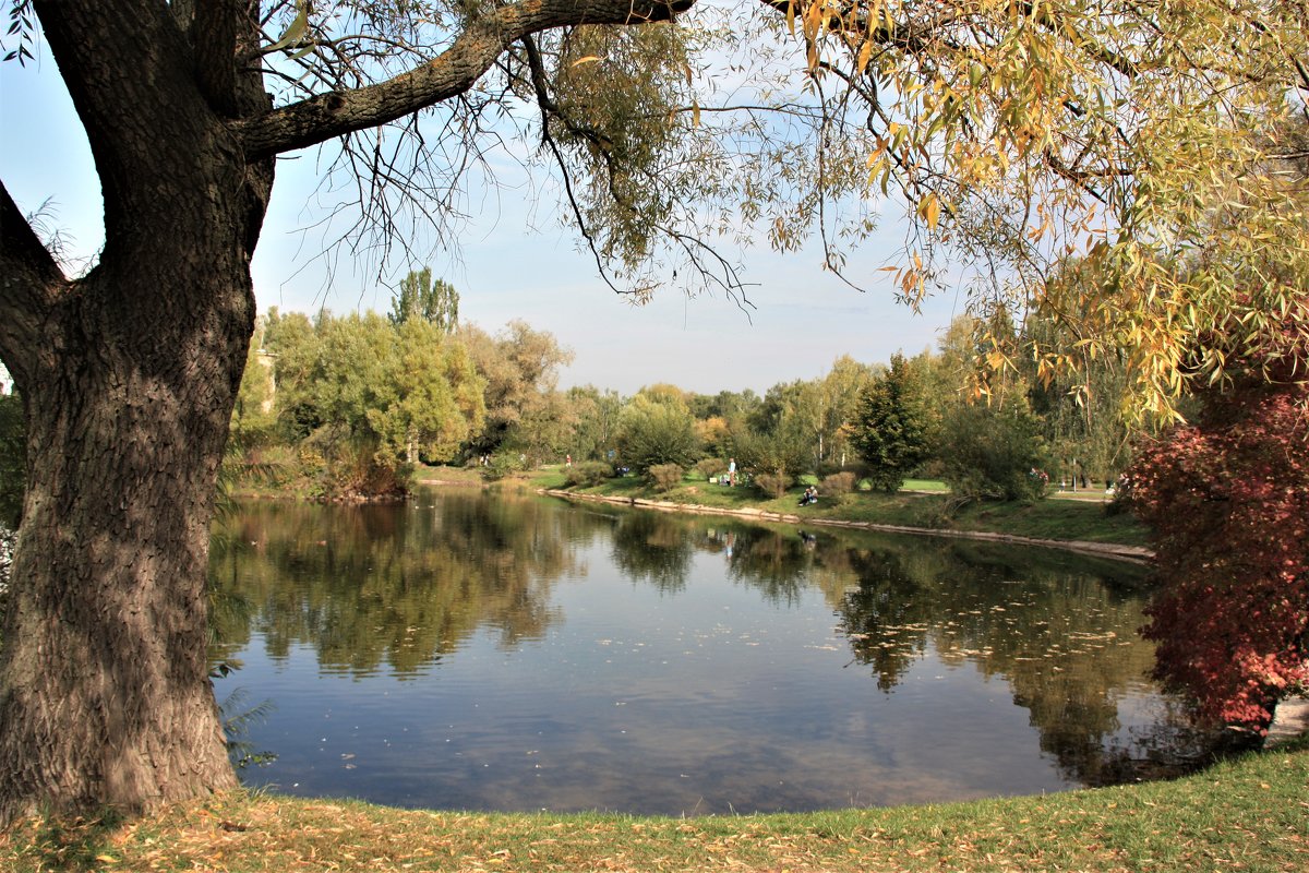 осень - Владимир Холодницкий