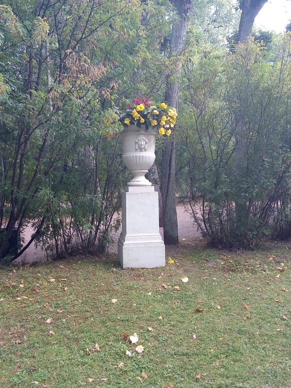 Интерьер с цветочной вазой в Павловске. - Светлана Калмыкова