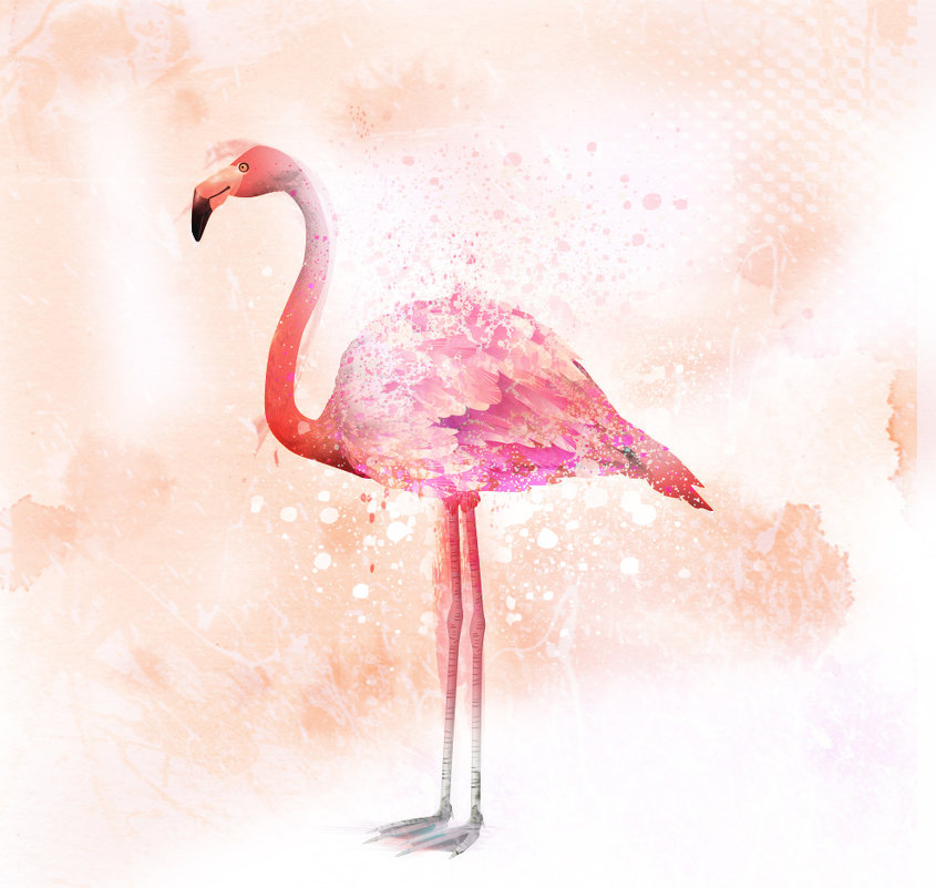 Flamingo - Лара Leila