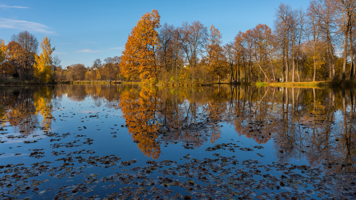 Осенний пейзаж - Владимир Лазарев