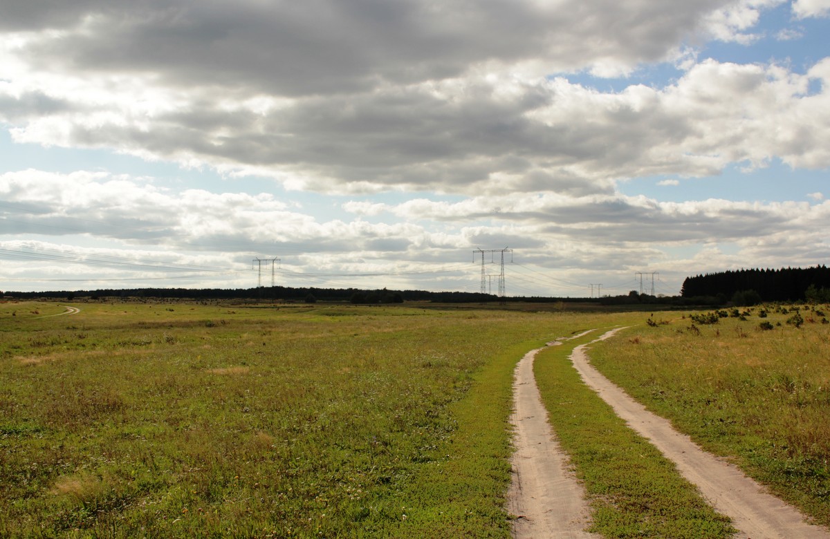 Дорога - Наталья Абрамова