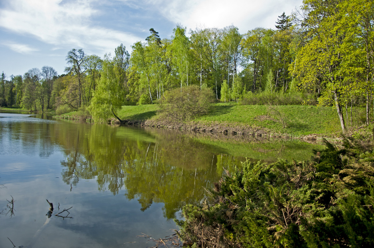 The Lake in Trostianetskyi Park - Roman Ilnytskyi