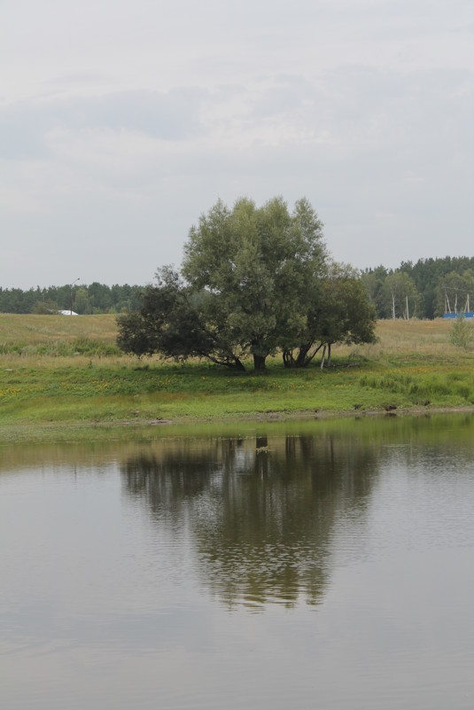 дерево и озеро - Маргарита 