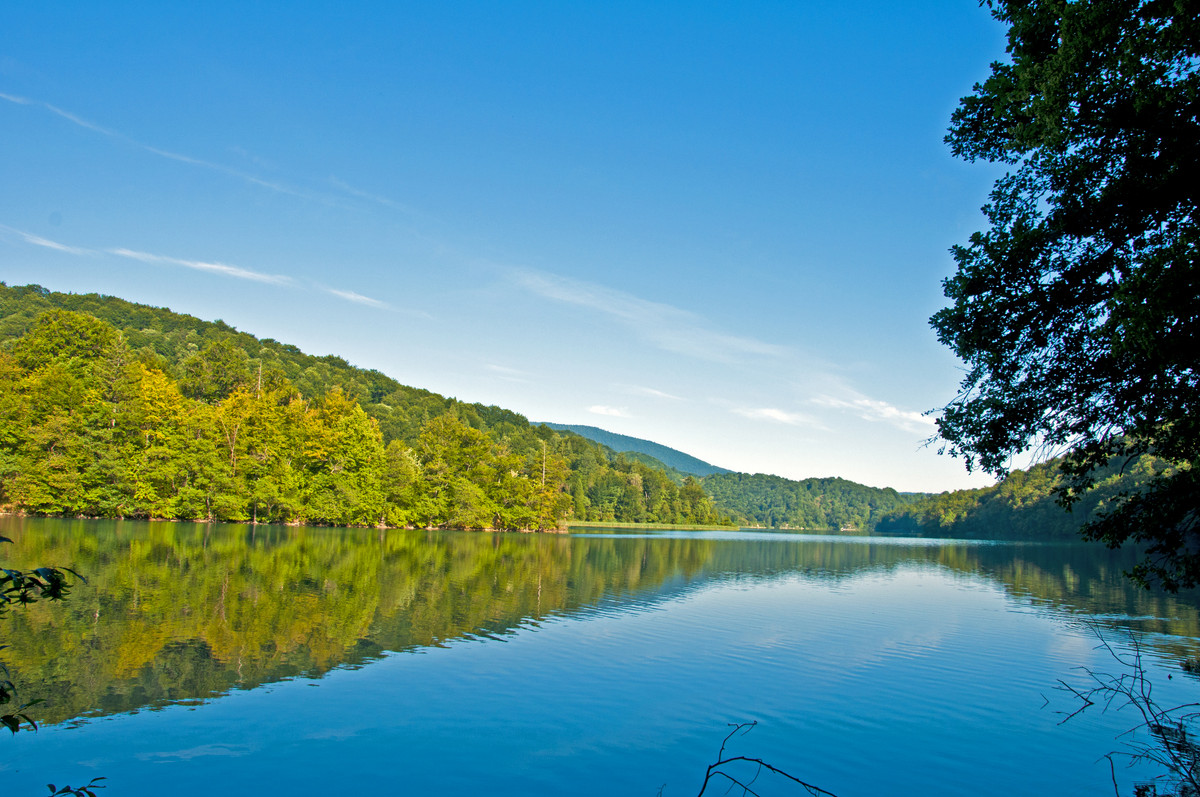 Lower Plitvitsky Lake - Roman Ilnytskyi