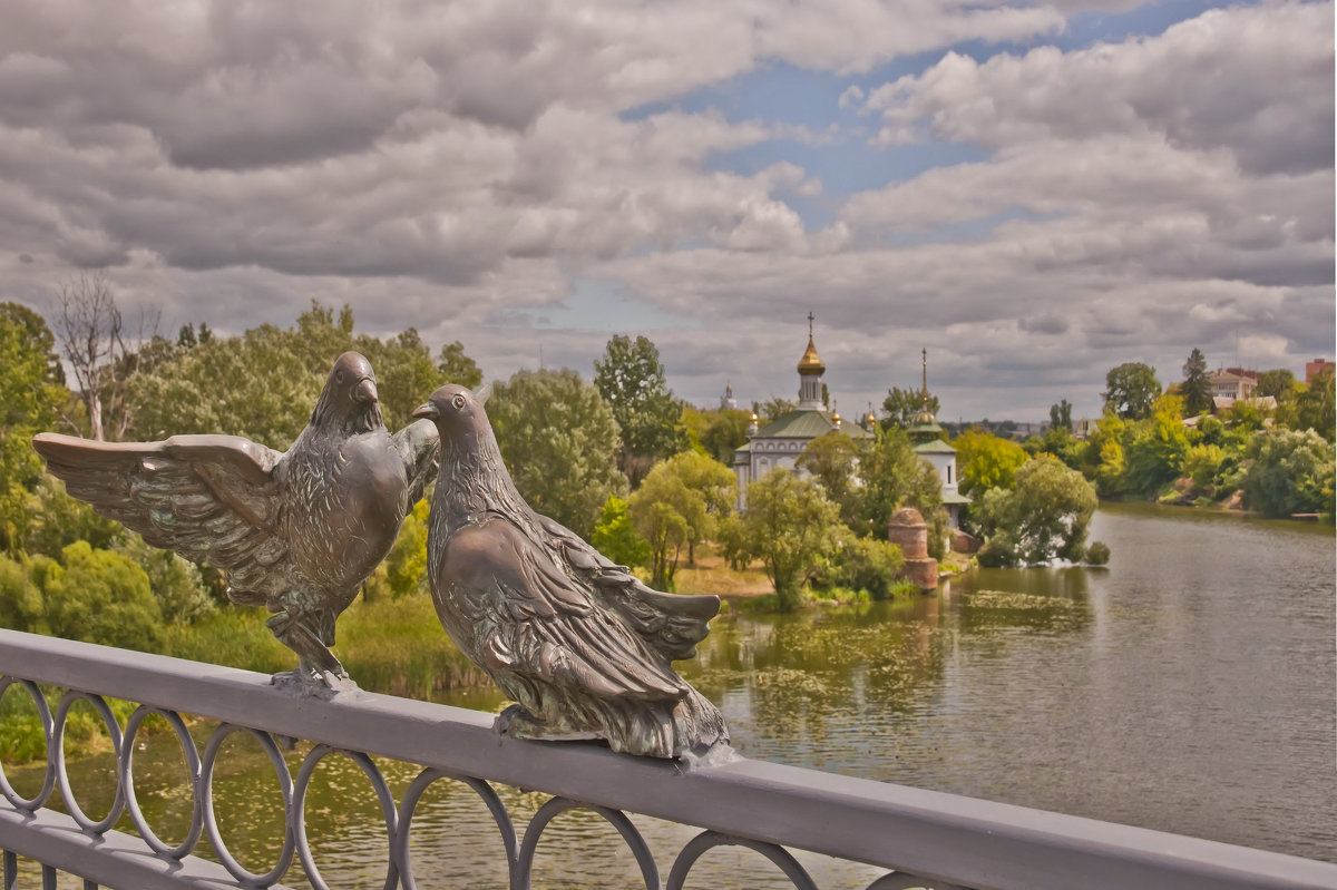 Городские жители - Ольга Винницкая (Olenka)