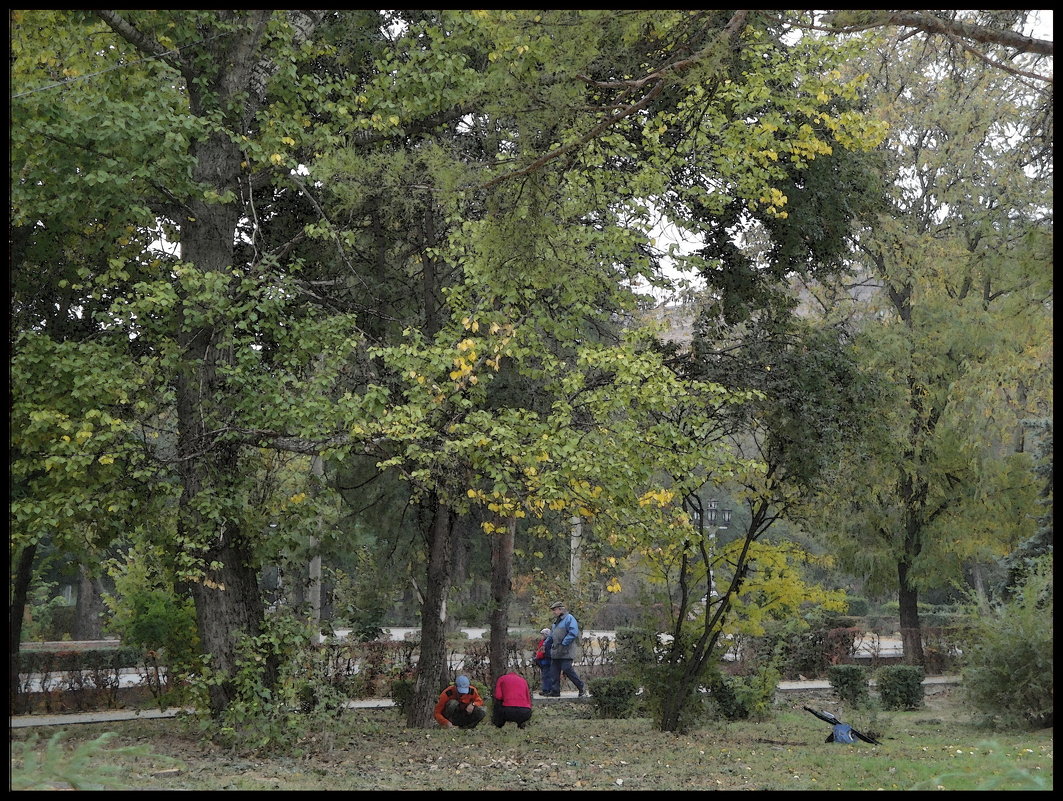 В городском парке - Юрий ГУКОВЪ