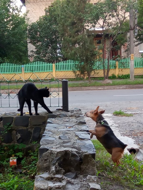 В знакомстве было отказано - Елена Пономарева