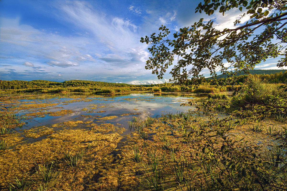 Остатки чистой воды - Vladimbormotov 