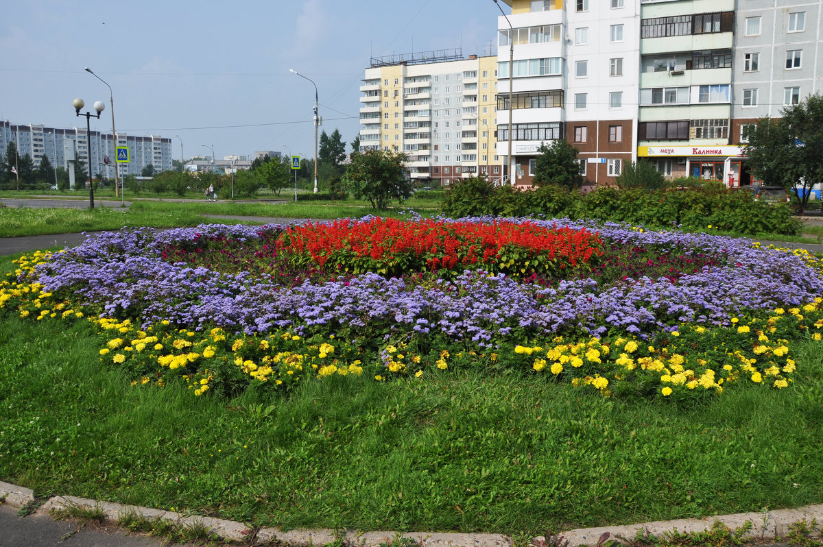 Городские цветы - Людмила Ковалева