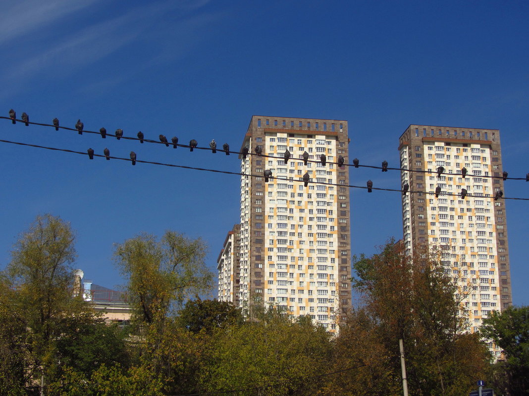 Городские зарисовки - Андрей Лукьянов